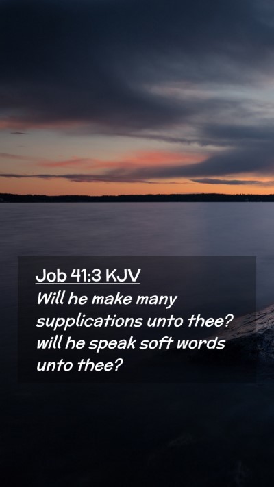 Picture 02 - Job 41:3 KJV Mobile Phone Wallpaper - Will he make many supplications unto thee? will - Mobile Bible Verse Wallpaper