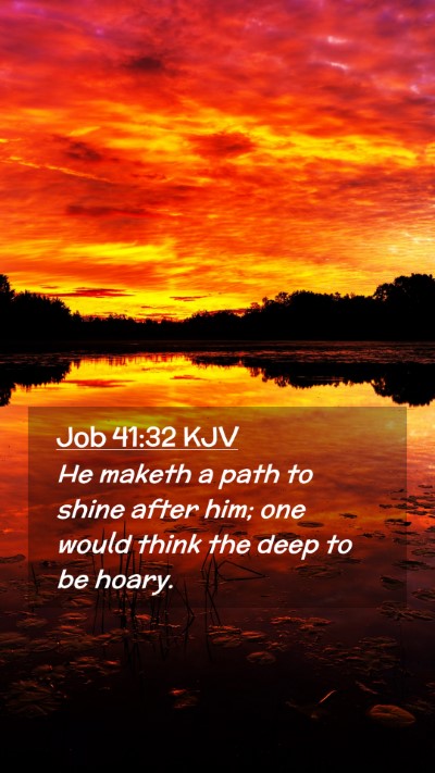 Picture 02 - Job 41:32 KJV Mobile Phone Wallpaper - He maketh a path to shine after him; one would - Mobile Bible Verse Wallpaper