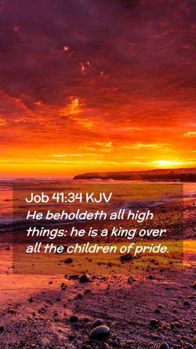 Picture 02 - Job 41:34 KJV Mobile Phone Wallpaper - He beholdeth all high things: he is a king over - Mobile Bible Verse Wallpaper