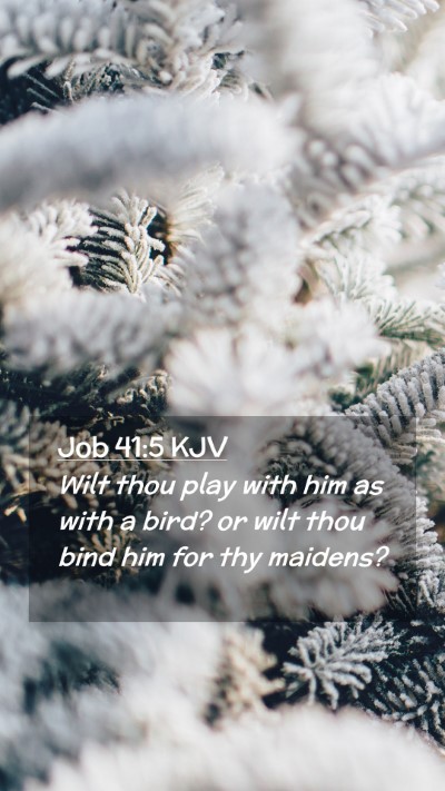 Picture 02 - Job 41:5 KJV Mobile Phone Wallpaper - Wilt thou play with him as with a bird? or wilt - Mobile Bible Verse Wallpaper