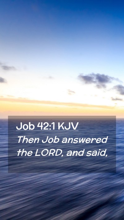 Picture 02 - Job 42:1 KJV Mobile Phone Wallpaper - Then Job answered the LORD, and - Mobile Bible Verse Wallpaper
