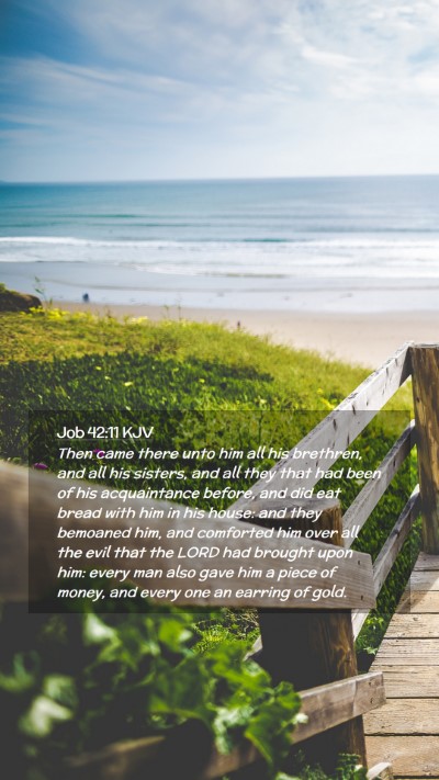 Picture 02 - Job 42:11 KJV Mobile Phone Wallpaper - Then came there unto him all his brethren, and - Mobile Bible Verse Wallpaper