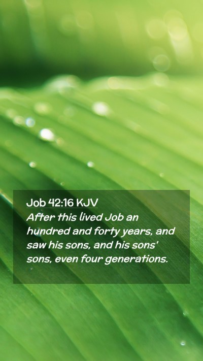 Picture 02 - Job 42:16 KJV Mobile Phone Wallpaper - After this lived Job an hundred and forty years, - Mobile Bible Verse Wallpaper