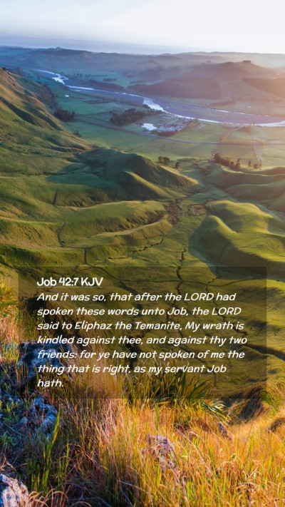 Picture 02 - Job 42:7 KJV Mobile Phone Wallpaper - And it was so, that after the LORD had spoken - Mobile Bible Verse Wallpaper