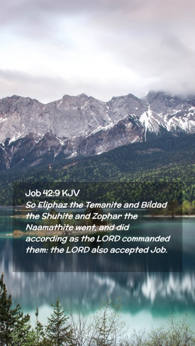 Picture 02 - Job 42:9 KJV Mobile Phone Wallpaper - So Eliphaz the Temanite and Bildad the Shuhite - Mobile Bible Verse Wallpaper