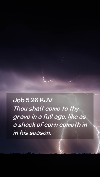 Picture 02 - Job 5:26 KJV Mobile Phone Wallpaper - Thou shalt come to thy grave in a full age, like - Mobile Bible Verse Wallpaper