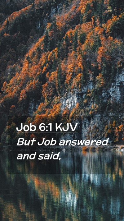 Picture 02 - Job 6:1 KJV Mobile Phone Wallpaper - But Job answered and - Mobile Bible Verse Wallpaper