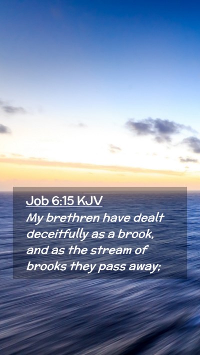 Picture 02 - Job 6:15 KJV Mobile Phone Wallpaper - My brethren have dealt deceitfully as a brook, - Mobile Bible Verse Wallpaper