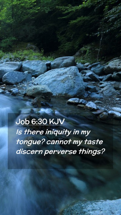 Picture 02 - Job 6:30 KJV Mobile Phone Wallpaper - Is there iniquity in my tongue? cannot my taste - Mobile Bible Verse Wallpaper