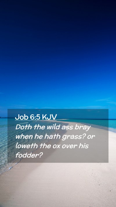 Picture 02 - Job 6:5 KJV Mobile Phone Wallpaper - Doth the wild ass bray when he hath grass? or - Mobile Bible Verse Wallpaper