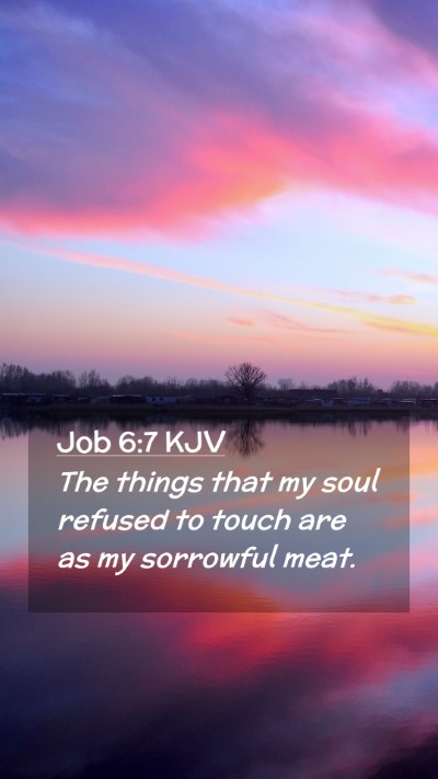 Picture 02 - Job 6:7 KJV Mobile Phone Wallpaper - The things that my soul refused to touch are as - Mobile Bible Verse Wallpaper