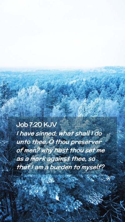 Picture 02 - Job 7:20 KJV Mobile Phone Wallpaper - I have sinned; what shall I do unto thee, O thou - Mobile Bible Verse Wallpaper