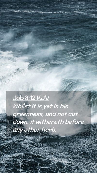Picture 02 - Job 8:12 KJV Mobile Phone Wallpaper - Whilst it is yet in his greenness, and not cut - Mobile Bible Verse Wallpaper