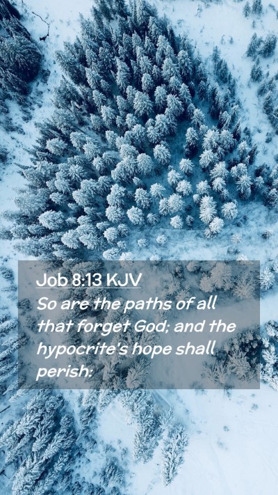 Picture 02 - Job 8:13 KJV Mobile Phone Wallpaper - So are the paths of all that forget God; and the - Mobile Bible Verse Wallpaper