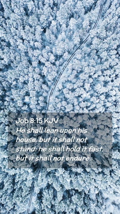 Picture 02 - Job 8:15 KJV Mobile Phone Wallpaper - He shall lean upon his house, but it shall not - Mobile Bible Verse Wallpaper