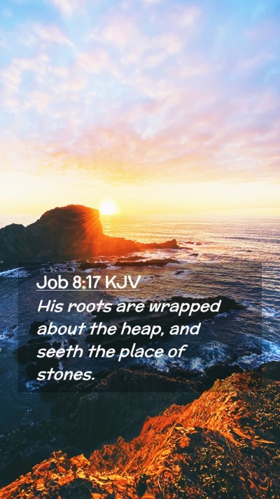 Picture 02 - Job 8:17 KJV Mobile Phone Wallpaper - His roots are wrapped about the heap, and seeth - Mobile Bible Verse Wallpaper