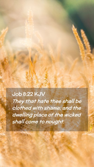 Picture 02 - Job 8:22 KJV Mobile Phone Wallpaper - They that hate thee shall be clothed with shame; - Mobile Bible Verse Wallpaper