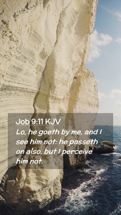 Picture 02 - Job 9:11 KJV Mobile Phone Wallpaper - Lo, he goeth by me, and I see him not: he passeth - Mobile Bible Verse Wallpaper