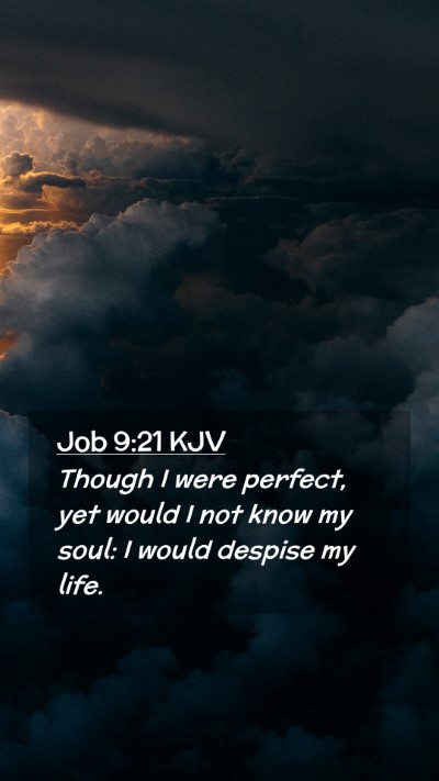 Picture 02 - Job 9:21 KJV Mobile Phone Wallpaper - Though I were perfect, yet would I not know my - Mobile Bible Verse Wallpaper