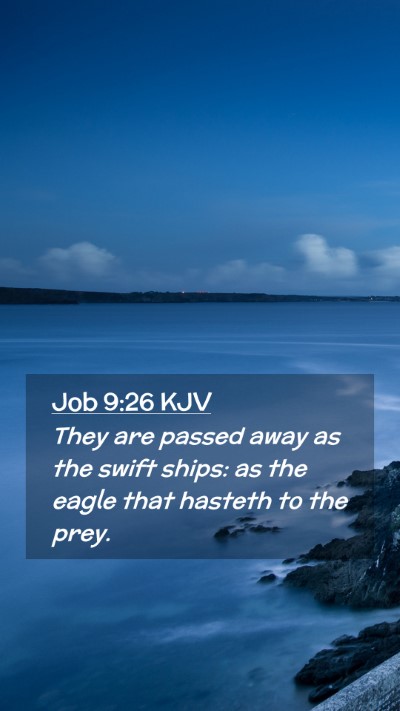 Picture 02 - Job 9:26 KJV Mobile Phone Wallpaper - They are passed away as the swift ships: as the - Mobile Bible Verse Wallpaper