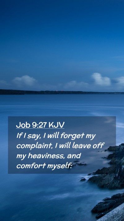 Picture 02 - Job 9:27 KJV Mobile Phone Wallpaper - If I say, I will forget my complaint, I will - Mobile Bible Verse Wallpaper