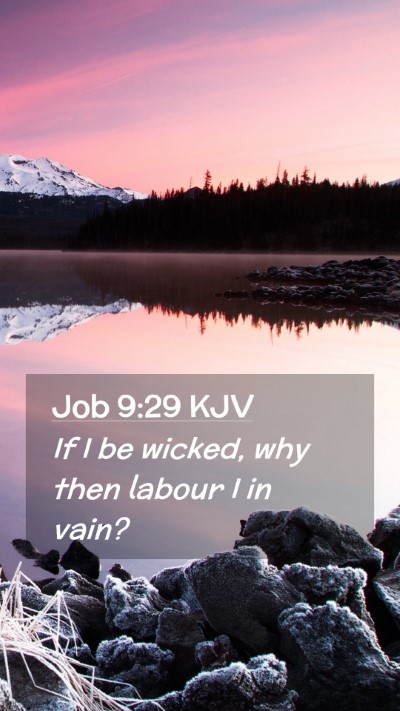 Picture 02 - Job 9:29 KJV Mobile Phone Wallpaper - If I be wicked, why then labour I in - Mobile Bible Verse Wallpaper