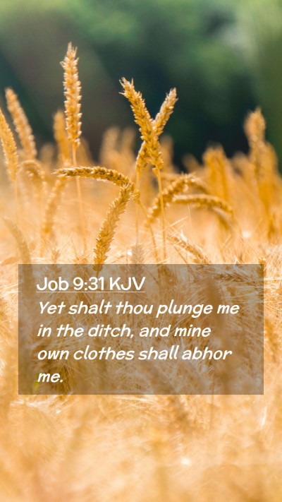 Picture 02 - Job 9:31 KJV Mobile Phone Wallpaper - Yet shalt thou plunge me in the ditch, and mine - Mobile Bible Verse Wallpaper