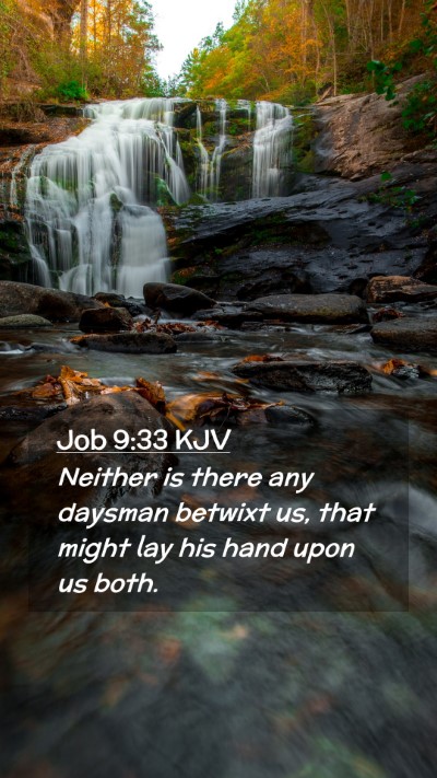 Picture 02 - Job 9:33 KJV Mobile Phone Wallpaper - Neither is there any daysman betwixt us, that - Mobile Bible Verse Wallpaper