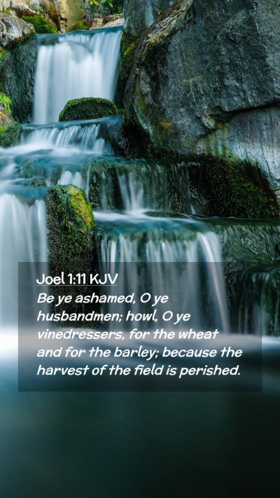 Picture 02 - Joel 1:11 KJV Mobile Phone Wallpaper - Be ye ashamed, O ye husbandmen; howl, O ye - Mobile Bible Verse Wallpaper