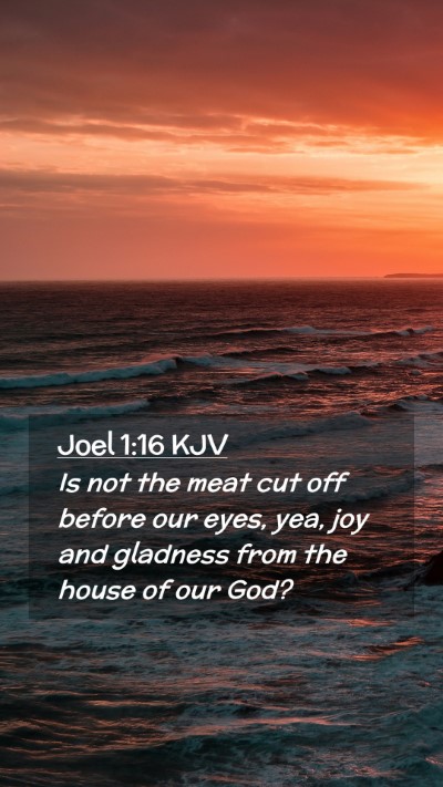 Picture 02 - Joel 1:16 KJV Mobile Phone Wallpaper - Is not the meat cut off before our eyes, yea, joy - Mobile Bible Verse Wallpaper