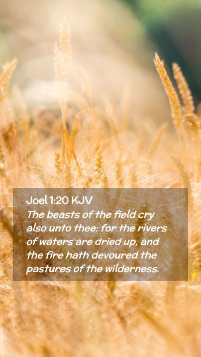 Picture 02 - Joel 1:20 KJV Mobile Phone Wallpaper - The beasts of the field cry also unto thee: for - Mobile Bible Verse Wallpaper