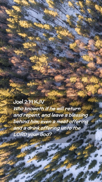 Picture 02 - Joel 2:14 KJV Mobile Phone Wallpaper - Who knoweth if he will return and repent, and - Mobile Bible Verse Wallpaper