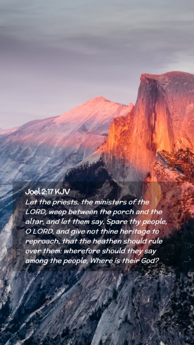 Picture 02 - Joel 2:17 KJV Mobile Phone Wallpaper - Let the priests, the ministers of the LORD, weep - Mobile Bible Verse Wallpaper