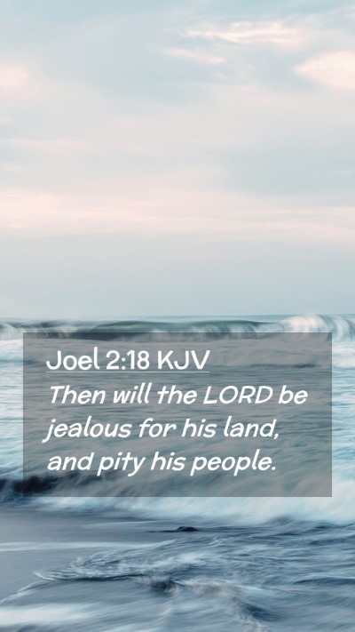 Picture 02 - Joel 2:18 KJV Mobile Phone Wallpaper - Then will the LORD be jealous for his land, and - Mobile Bible Verse Wallpaper