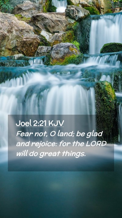 Picture 02 - Joel 2:21 KJV Mobile Phone Wallpaper - Fear not, O land; be glad and rejoice: for the - Mobile Bible Verse Wallpaper