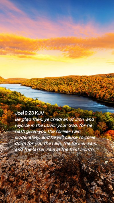 Picture 02 - Joel 2:23 KJV Mobile Phone Wallpaper - Be glad then, ye children of Zion, and rejoice in - Mobile Bible Verse Wallpaper