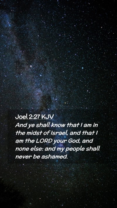 Picture 02 - Joel 2:27 KJV Mobile Phone Wallpaper - And ye shall know that I am in the midst of - Mobile Bible Verse Wallpaper