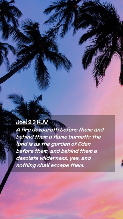 Picture 02 - Joel 2:3 KJV Mobile Phone Wallpaper - A fire devoureth before them; and behind them a - Mobile Bible Verse Wallpaper
