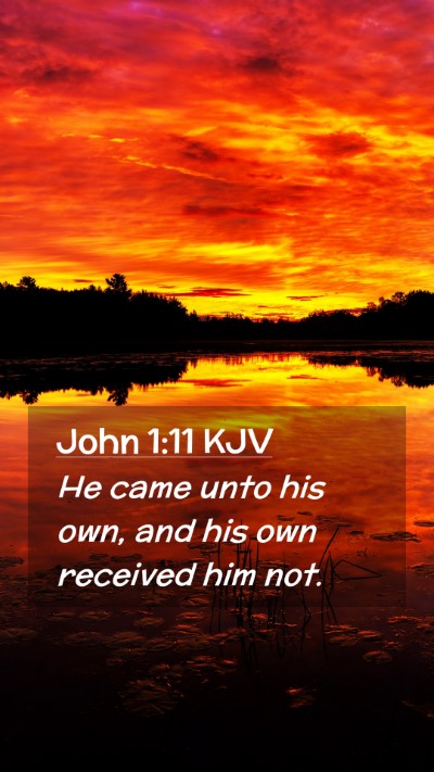 Picture 02 - John 1:11 KJV Mobile Phone Wallpaper - He came unto his own, and his own received him - Mobile Bible Verse Wallpaper