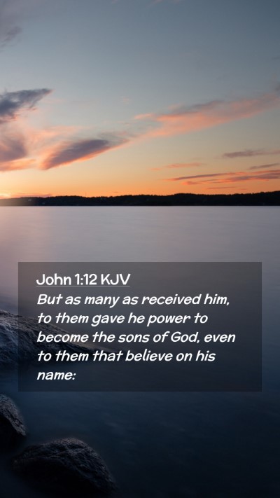 Picture 02 - John 1:12 KJV Mobile Phone Wallpaper - But as many as received him, to them gave he - Mobile Bible Verse Wallpaper