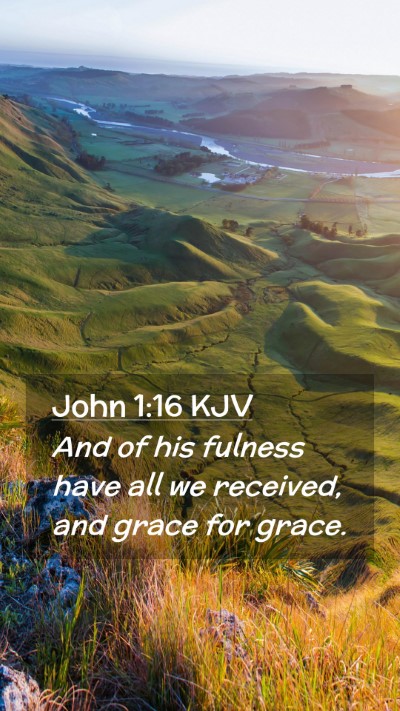 Picture 02 - John 1:16 KJV Mobile Phone Wallpaper - And of his fulness have all we received, and - Mobile Bible Verse Wallpaper