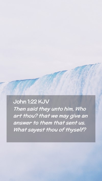 Picture 02 - John 1:22 KJV Mobile Phone Wallpaper - Then said they unto him, Who art thou? that we - Mobile Bible Verse Wallpaper