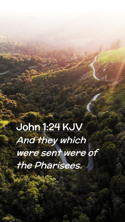 Picture 02 - John 1:24 KJV Mobile Phone Wallpaper - And they which were sent were of the - Mobile Bible Verse Wallpaper