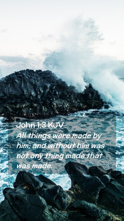 Picture 02 - John 1:3 KJV Mobile Phone Wallpaper - All things were made by him; and without him was - Mobile Bible Verse Wallpaper