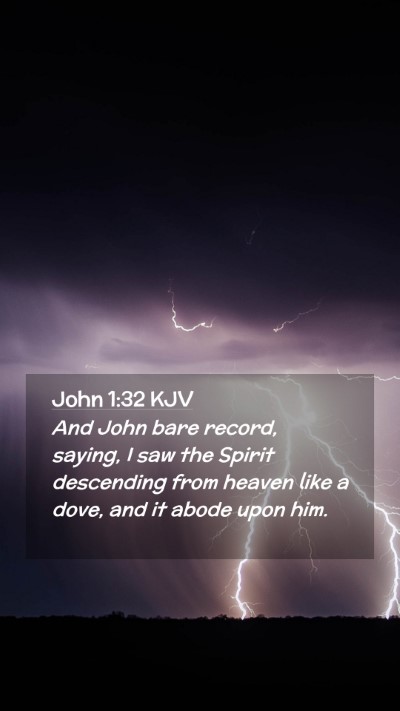 Picture 02 - John 1:32 KJV Mobile Phone Wallpaper - And John bare record, saying, I saw the Spirit - Mobile Bible Verse Wallpaper