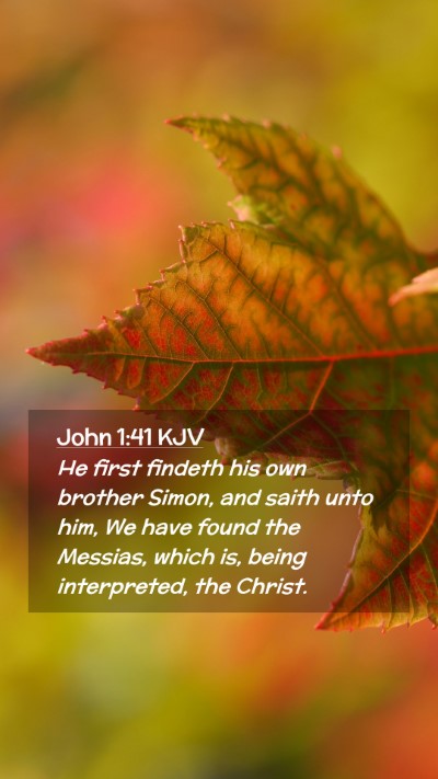 Picture 02 - John 1:41 KJV Mobile Phone Wallpaper - He first findeth his own brother Simon, and saith - Mobile Bible Verse Wallpaper