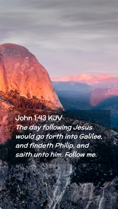 Picture 02 - John 1:43 KJV Mobile Phone Wallpaper - The day following Jesus would go forth into - Mobile Bible Verse Wallpaper