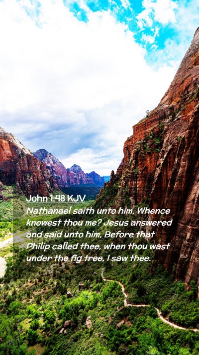 Picture 02 - John 1:48 KJV Mobile Phone Wallpaper - Nathanael saith unto him, Whence knowest thou me? - Mobile Bible Verse Wallpaper