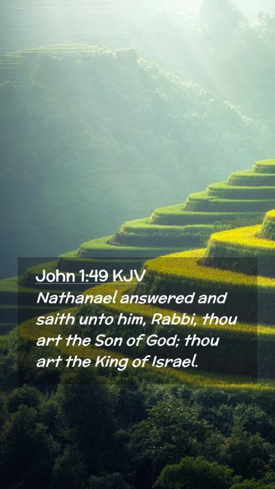 Picture 02 - John 1:49 KJV Mobile Phone Wallpaper - Nathanael answered and saith unto him, Rabbi, - Mobile Bible Verse Wallpaper