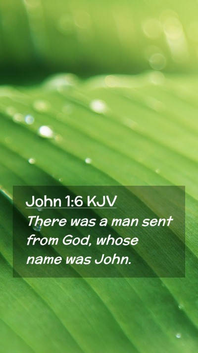 Picture 02 - John 1:6 KJV Mobile Phone Wallpaper - There was a man sent from God, whose name was - Mobile Bible Verse Wallpaper